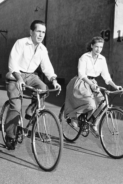 what-the-faeriequeene-fancies: Cycling celebrities ‍♂️‍♀️