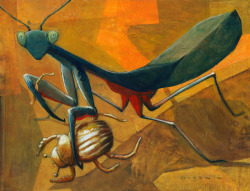 eselkunst:“Praying Mantis and Golden Scarab”, 11″x14″. Gouache over collage. 2009.