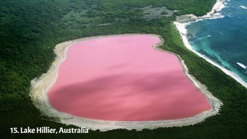 terra-mater:  15 amazing things in nature porn pictures