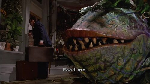 https://lifeunexpurgated.tumblr.com/post/171250387894