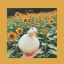 lovely-ducky