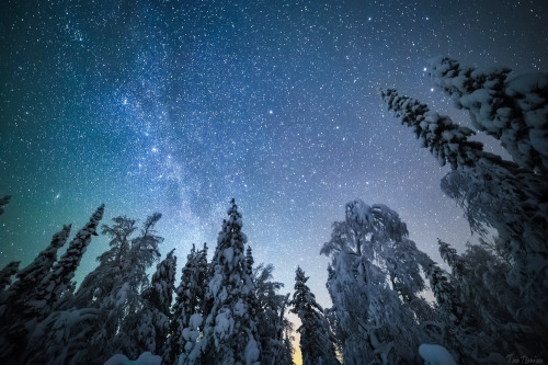 tiinatormanenphotography:Night walk. I really love winter nights, cold but there is something very m