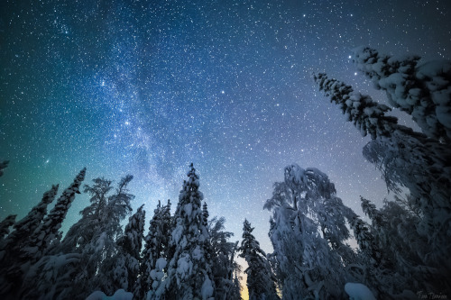 tiinatormanenphotography:Night walk.  I really love winter nights, cold but there is something very mystical.  21/22th Jan 2015 , Southern Lapland, Finland. by  Tiina Törmänen     www | FB 