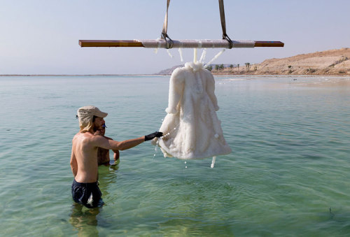 que-mystery:cloudfreed:boredpanda:Artist Leaves Dress In The Dead Sea For 2 Years And It Turns Into 
