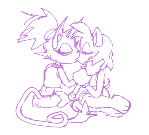 ffaangg:one of my many beautiful sonic ships