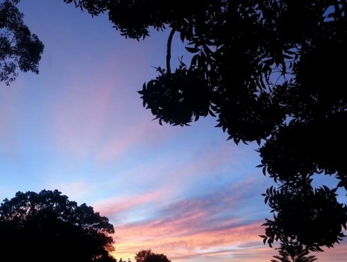 y-uck:  Pretty sky this morn