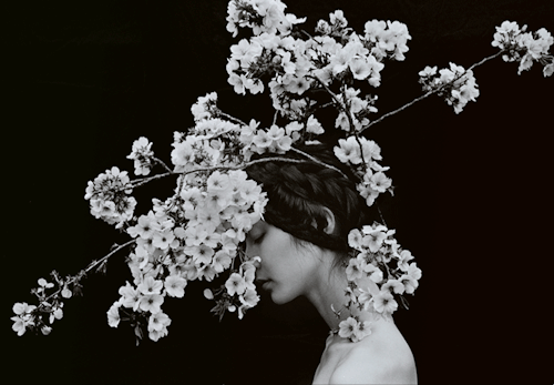 from89:Floral Portraits (by Sayaka Maruyama)On tumblr