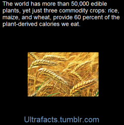 ultrafacts:  (Fact Source) For more facts, follow Ultrafacts 