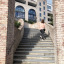 394meilen