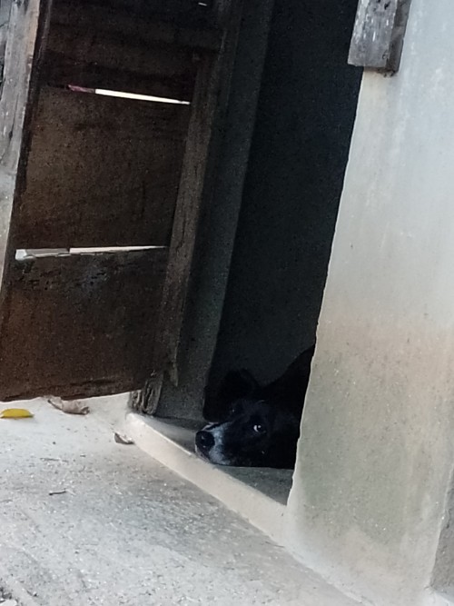 Acaban De Fumigar Mi Casa Y Tengo Miedo Por Qu, De Primero Mientras Guardaba Todo Mi Prima Solo Se Qued