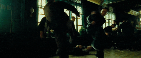 The Grandmaster (2013)