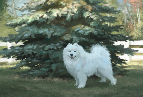 Another study from a photo, this time of my late dog. He was such a good boi &lt;3