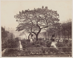 artgalleryofontario:  Palais Royal Gardens, Paris, c. 1880Francis Frith, British, 1822 - 1898Albumen printImage: 16.7 x 20.7 cmOverall (mount): 28 x 35.5 cmPurchase, donated funds in memory of Eric Steiner, 2007© 2014 Art Gallery of Ontario 