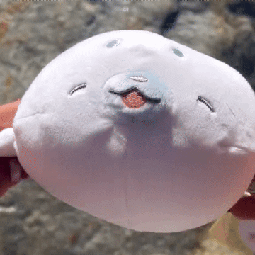 Seal Plushies