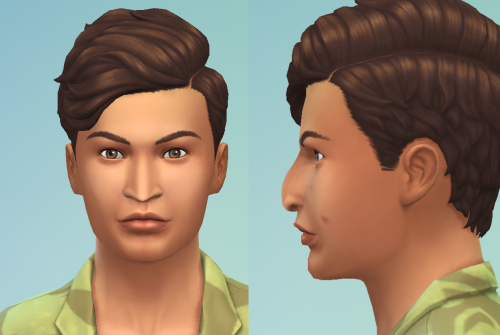 Okay, Since The Twins Aged Up Now, We Can Choose The New Mafia Leader Heir Of The Family!