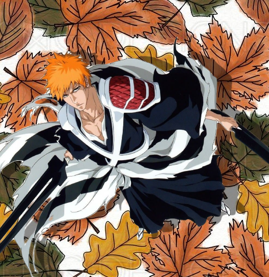 Pin by Andreas D on 2 in 2023  Bleach anime art, Bleach anime ichigo,  Bleach (anime)