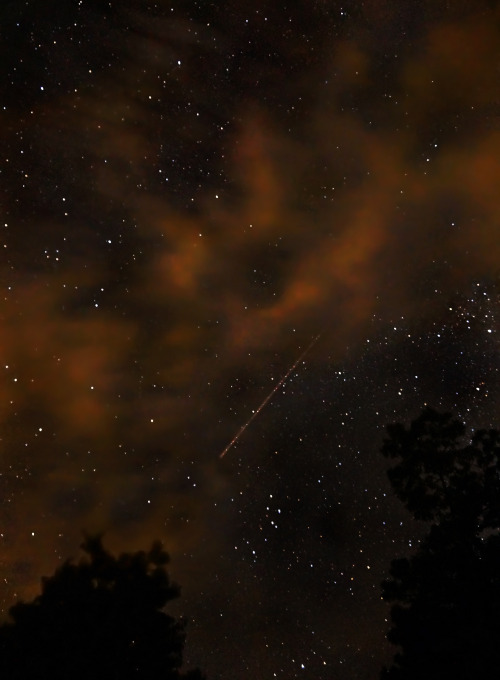 ewilloughby:Last night I tried my hand at night sky photography for the first time. The Perseids are
