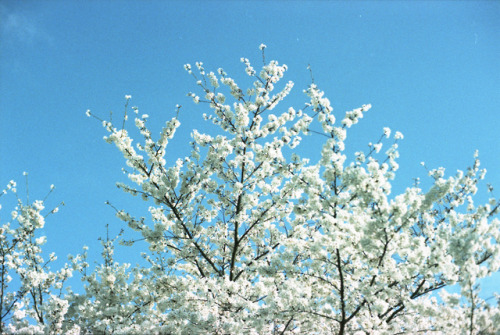 190405