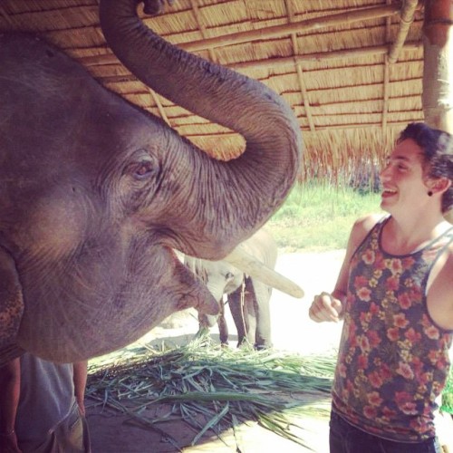 Cutie. #Thailand #elephants #elephantretirementpark #travel #ChiangMai