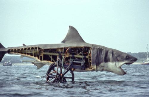 yodaprod: Tournage “Les Dents de la mer”, Steven Spielberg (1975)On the set of &ldq