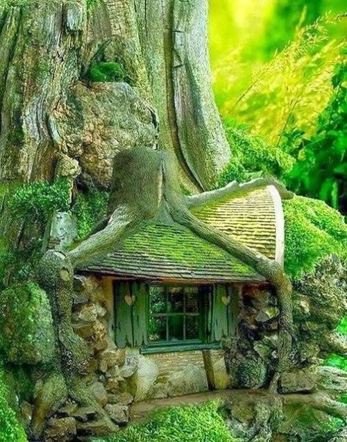 Porn overlooked-fairy:Some awesome treehouses photos