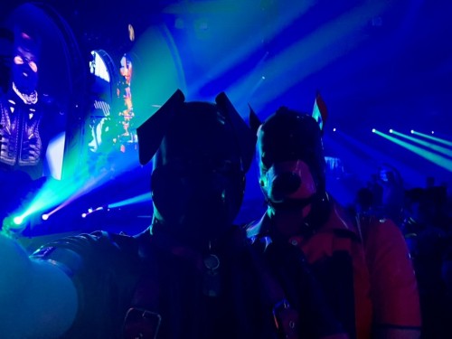 rubberdogscologne - This is Hardcore