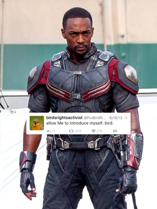 bert-and-ernie-are-gay: Sam Wilson x @ ProBirdRights [insp.][from the twitter genius of stuckyparty]