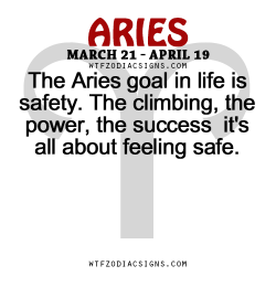 wtfzodiacsigns:  The Aries goal in life is