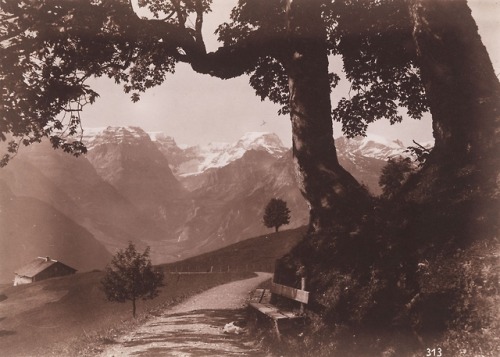 dame-de-pique: Johann Baptist Nikolaus Schönwetter-Elmer - Blick von Braunwald auf den Talabsch