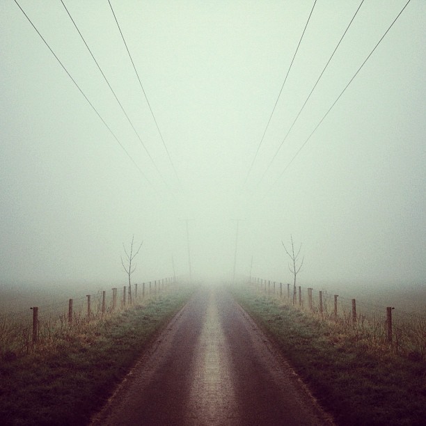 foxmouth:  Instagram, 2014 | by Finn Beales + @finn on Instagram
