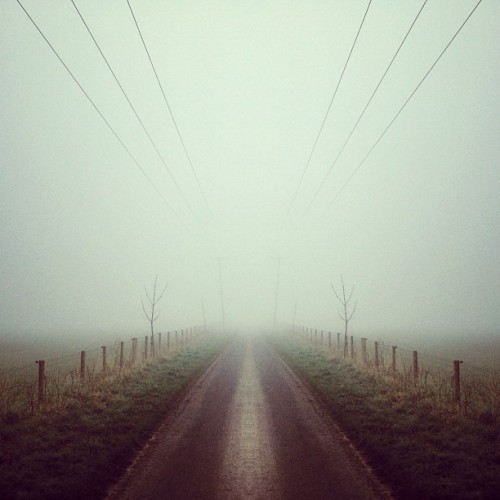 foxmouth:  Instagram, 2014 | by Finn Beales + @finn on Instagram