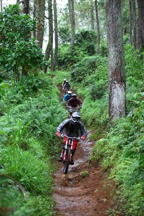 nitwitedgoose:  cant wait to be riding with my buddies again on the hill like this. source : 