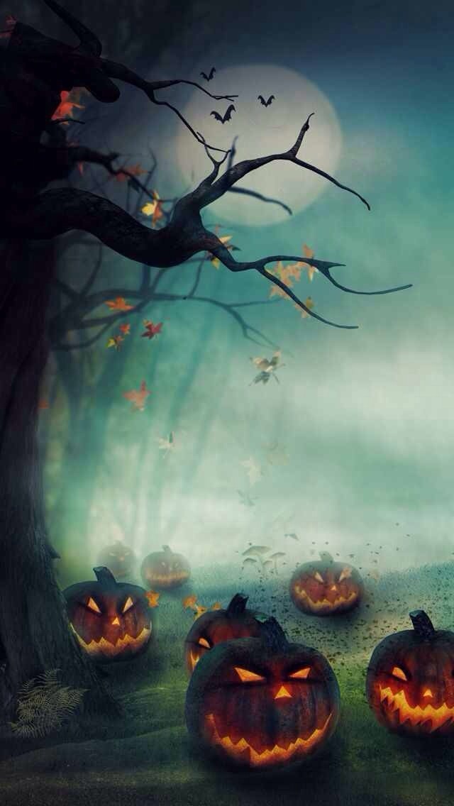 Iphone Wallpaper