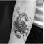 scorpionforevers-blog