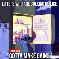 gymaaholic:  Lifters Who Are Bulking Be Like