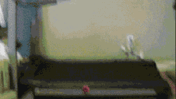 gifss-heaveen:  Shut up and check this gif !