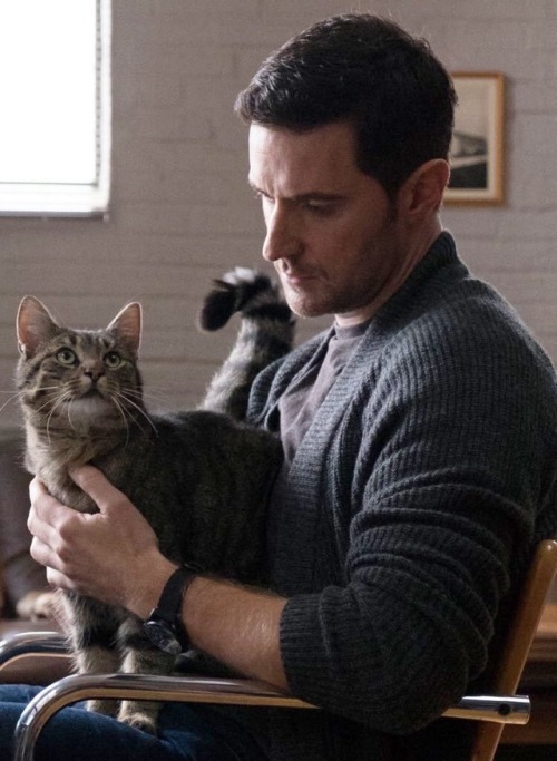 badskippy: Richard Armitage … and one VERY lucky cat