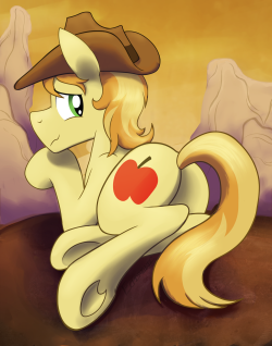 echorelic-sfw:  The view behind Braeburn