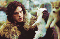 notkatniss:  IVE BEEN LAUGHING AT THIS THEY JUST STARE AT EACH OTHER HOLDING PUPPIES    LORD SNOW!