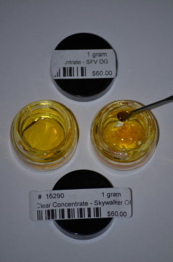 incredible-kush:  Left to right Clear Concentrate - SFV OG 71.24% THC Clear concentrate - Skywalker OG test pending 