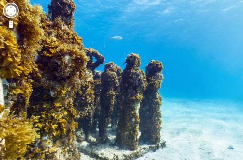 oessa:   Cancun Underwater Museum, Mexico. 21°11'59.4"N 86°42'45.4"W  