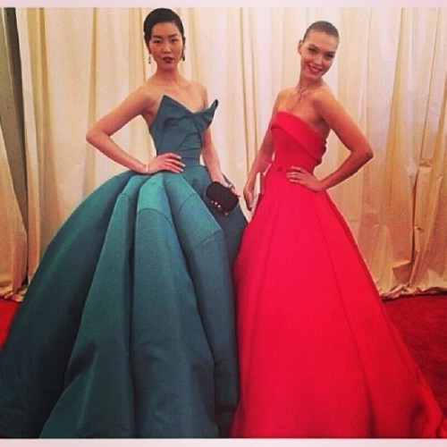 adventuresinwonderlandblblabla: Here they are two of the most beautiful dresses @MetGala @zac_posen 