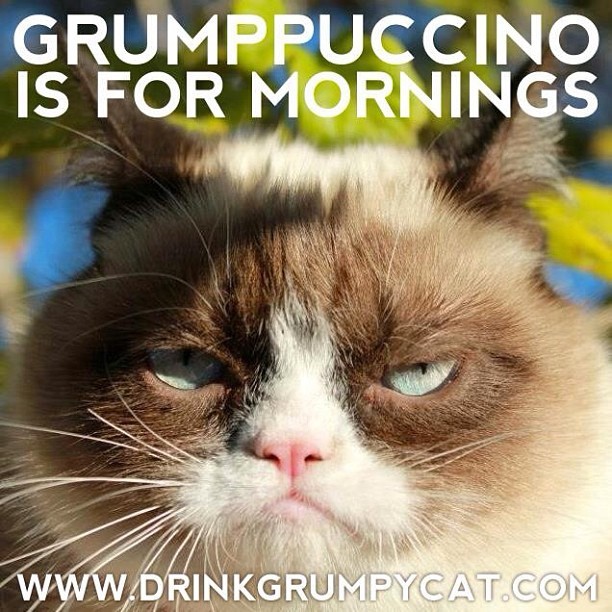 Pre-sale is live! Visit www.drinkgrumpycat.com and take advantage of pre-sale pricing on #grumppuccino FOLLOW @DrinkGrumpyCat...