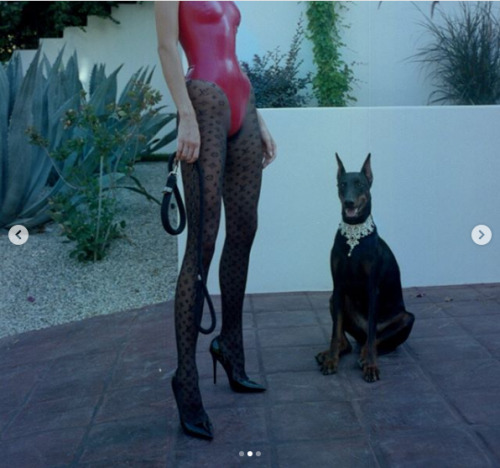 Kendall Jenner in Jimmy Choo heels and Louis Vuitton tights with Doberman Pinscher by Sasha Sam