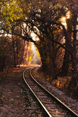 plasmatics:  The road to the fairyland by