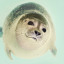 adamantseal