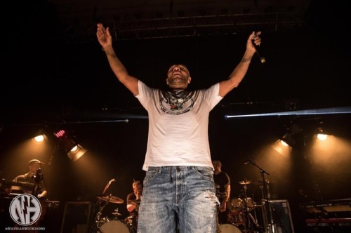 How big was that fish again @mrgoldie ? #goldie #thejourneyman #journeyman #thejourneymantour #brist