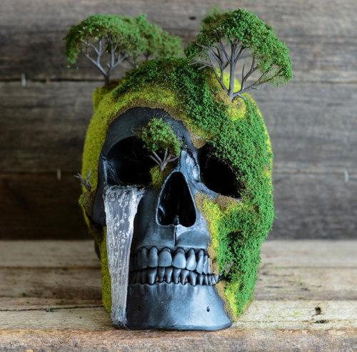 sixpenceee:  Grave Yard Bonsai Mountain Skulls are a unique take on “Memento mori” art. “Remember that you can die” in latin, this art aims to remind us of our own mortality. Made by Australian company Jack Of The Dust, these 850 gram, 13x16x22cm