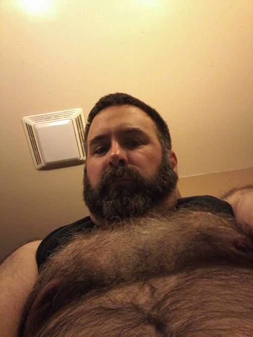 The Underwear Bear