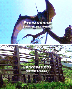 jurassicdaily:  Dinosaurs in the Jurassic Park films (1993-2015)